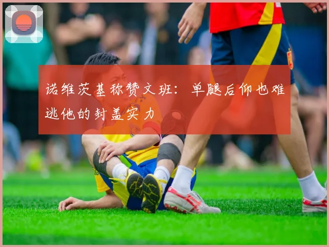 诺维茨基称赞文班：单腿后仰也难逃他的封盖实力