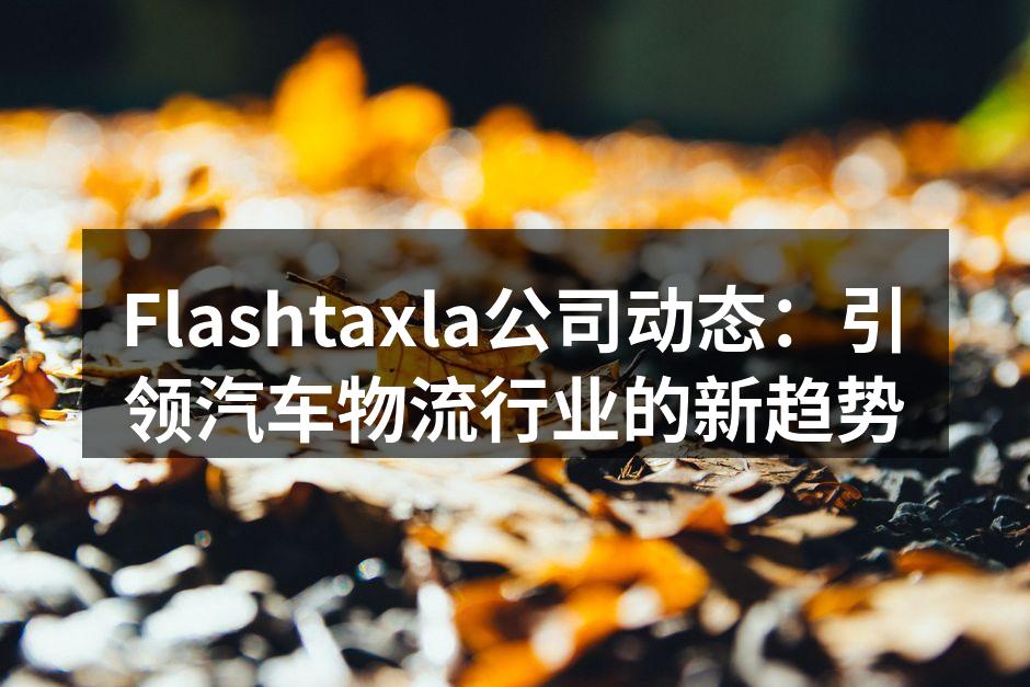 Flashtaxla全新电动货车,助力绿色物流