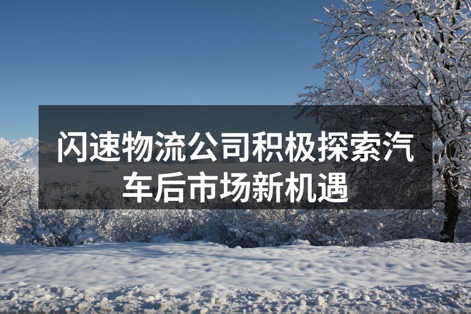 闪速物流新项目启动会议